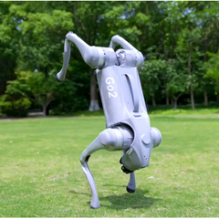 Unitree GO2 Pro Robot Dog — AI Quadruped Platform | SXR Lab Equipment