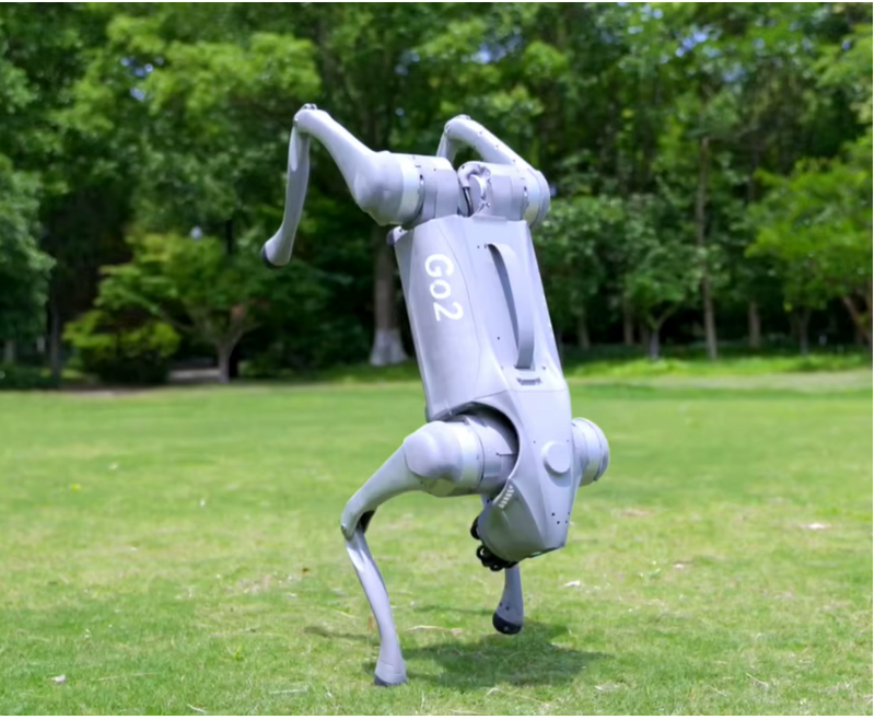 Unitree GO2 Pro Robot Dog — AI Quadruped Platform | SXR Lab Equipment
