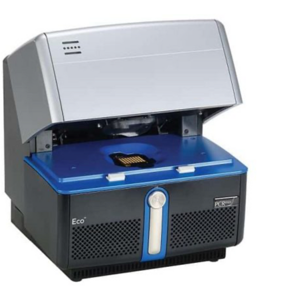 ECO 48 Real-Time PCR System — 48-Well qPCR | SXR Lab Equipment
