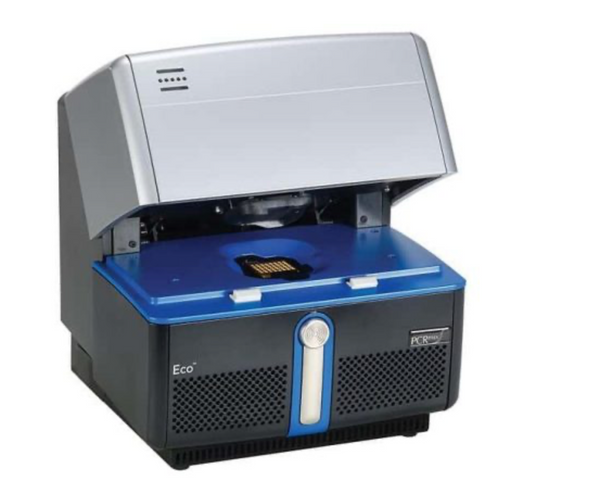 ECO 48 Real-Time PCR System — 48-Well qPCR | SXR Lab Equipment